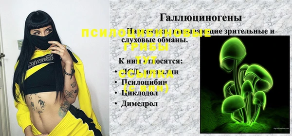 каннабис Абаза