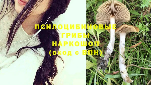 каннабис Абаза