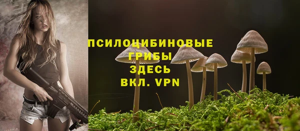 2c-b Покачи