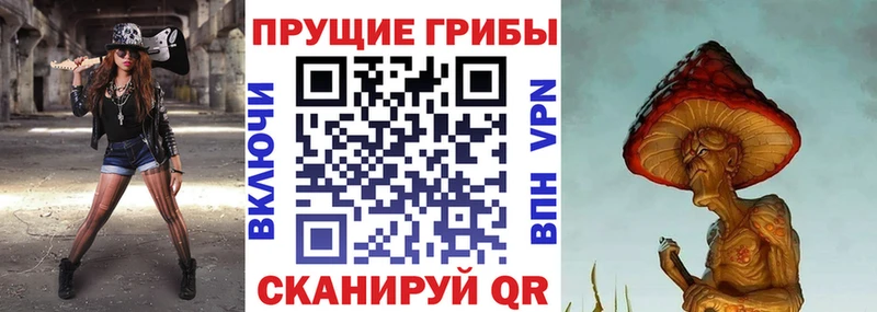 hydra ссылки Вичуга Галлюциногенные грибы прущие грибы